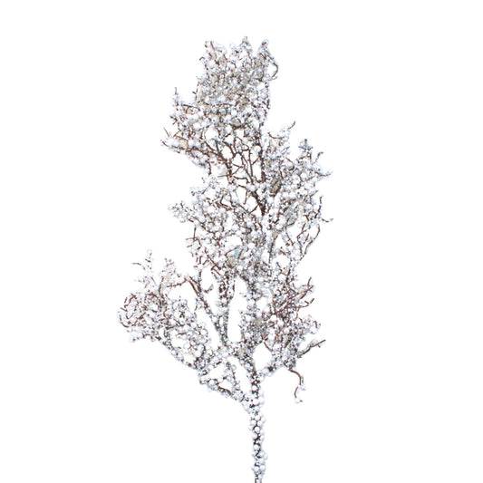 Berry Blanco Brillante | Decoración invernal elegante